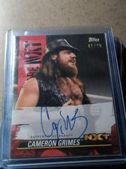 Cameron Grimes [Red] #A-CG Wrestling Cards 2021 Topps WWE We Are NXT Autographs Prices