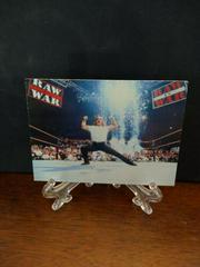 Shawn Michaels Wrestling Cards 1998 WWF Superstarz Prices