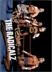 The Radicalz Wrestling Cards 2001 Fleer WWF Wrestlemania Prices