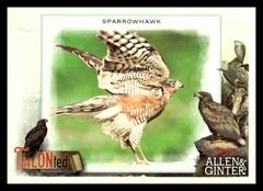 Sparrowhawk #TT-13 Baseball Cards 2023 Topps Allen & Ginter TALON Ted Prices
