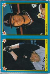Carl Yastrzemski #60 Baseball Cards 1983 Fleer Stickers Prices