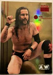 Adam Cole #PP- 1 Wrestling Cards 2022 SkyBox Metal Universe AEW Premium Prices