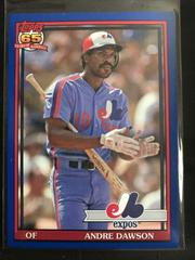 Andre Dawson [Blue Border] #262 Baseball Cards 2016 Topps Archives Prices
