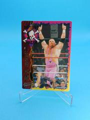Jim The Anvil Neidhart Wrestling Cards 1995 Action Packed WWF Prices
