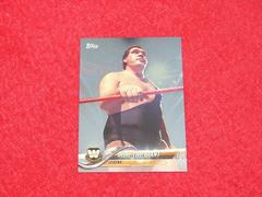 Andre the Giant [Silver] Wrestling Cards 2018 Topps WWE Then Now Forever Prices