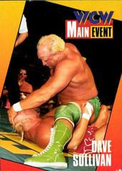 Dave Sullivan Wrestling Cards 1995 Cardz WCW Main Event Prices