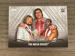 The Mega Bucks Wrestling Cards 2016 Topps WWE Undisputed Tag Teams Prices