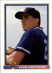 Sean Cheetham #414 Baseball Cards 1991 Bowman Prices