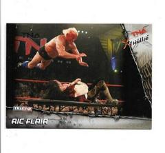 Ric Flair [Silver] Wrestling Cards 2010 TriStar TNA Xtreme Prices