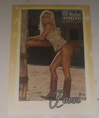 Terri #37 Wrestling Cards 2003 Fleer WWE Divine Divas Prices