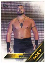 Sawyer Fulton Wrestling Cards 2016 Topps WWE Then Now Forever NXT Prospects Prices
