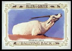 Arabian Oryx Baseball Cards 2021 Topps Allen & Ginter Rallying Back Prices