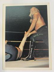 Jimmy Valiant #33 Wrestling Cards 1988 Wonderama NWA Prices
