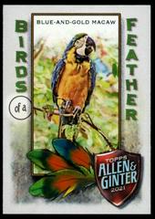 Blue-and-Gold Macaw Baseball Cards 2021 Topps Allen & Ginter Birds of a Feather Prices
