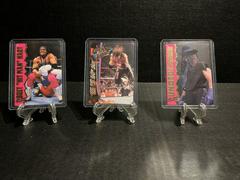 Undertaker #24 Wrestling Cards 1995 Action Packed WWF Prices
