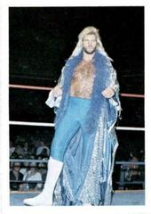 Michael Hayes #44 Wrestling Cards 1988 Wonderama NWA Prices