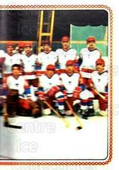 Japan Hockey Cards 1979 Panini Stickers Prices
