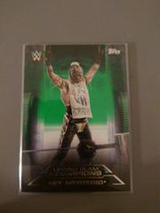 Rey Mysterio [Green] Wrestling Cards 2021 Topps WWE Undisputed Grand Slam Champions Prices