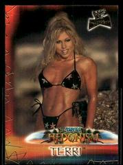 Terri #92 Wrestling Cards 2001 Fleer WWF The Ultimate Diva Collection Prices