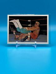 Sting vs Eddie Gilbert Wrestling Cards 1988 Wonderama NWA Prices