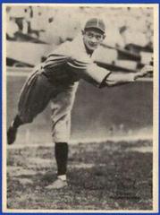 Guy T. Bush Baseball Cards 1929 R316 Kashin Publications Prices