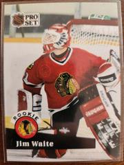 Jim Waite Hockey Cards 1991 Pro Set Prices