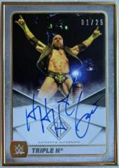 Triple H Wrestling Cards 2020 Topps WWE Transcendent Autographs Prices