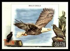Bald Eagle #TT-5 Baseball Cards 2023 Topps Allen & Ginter TALON Ted Prices
