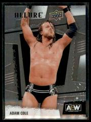Adam Cole #1 Wrestling Cards 2022 Upper Deck Allure AEW Prices
