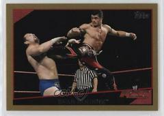 Evan Bourne [Gold] Wrestling Cards 2009 Topps WWE Prices