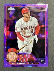 Taylor Ward [Purple] Baseball Cards 2023 Topps Chrome Sapphire Prices