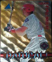 Dean Palmer #20 Baseball Cards 1994 Pinnacle the Naturals Prices