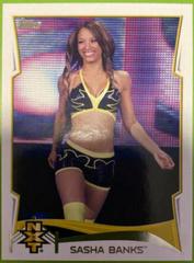 Sasha Banks Wrestling Cards 2014 Topps WWE NXT Prospects Prices