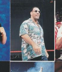 Giant Silva #44 Wrestling Cards 1998 WWF Superstarz Prices
