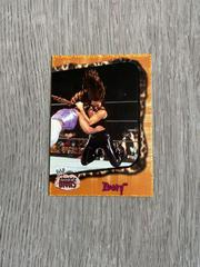 Ivory Wrestling Cards 2002 Fleer WWE Absolute Divas Prices