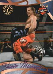 Shawn Michaels #71 Wrestling Cards 2004 Fleer WWE Divine Divas 2005 Prices