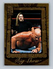 Big Show Wrestling Cards 2002 Fleer WWF All Access Prices