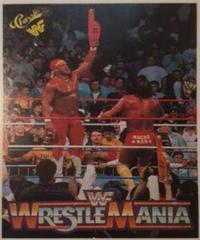 Hulk Hogan, 'Macho Man' Randy Savage #53 Wrestling Cards 1990 Classic WWF The History of Wrestlemania Prices