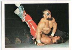 Barbarian Wrestling Cards 1988 Wonderama NWA Prices