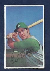 Gene Tenace Baseball Cards 1971 Dell Today's Team Stamps Prices