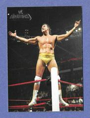 Alberto Del Rio Wins the Royal Rumble Wrestling Cards 2011 Topps WWE Champions Prices