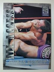 Chris Benoit Wrestling Cards 2002 Fleer WWF All Access Prices