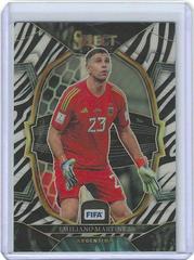 Emiliano Martinez [Zebra] #2 Soccer Cards 2022 Panini Select FIFA Prices