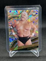 Dusty Rhodes [Fractal] Wrestling Cards 2022 Panini Revolution WWE Prices