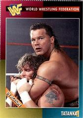 Tatanka Wrestling Cards 1995 WWF Magazine Prices