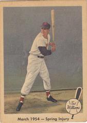 March 1954 Spring [Injury] Baseball Cards 1959 Fleer Ted Williams Prices