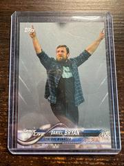 Daniel Bryan [Silver] #28 Wrestling Cards 2018 Topps WWE Prices