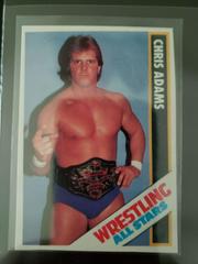 Chris Adams Wrestling Cards 1985 Wrestling All Stars Prices