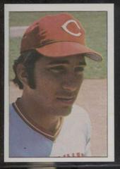 Johnny Bench Baseball Cards 1975 SSPC Superstars Prices