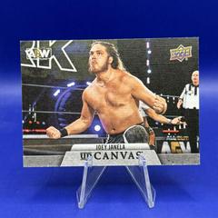 Joey Janela #C-26 Wrestling Cards 2021 Upper Deck AEW Canvas Prices